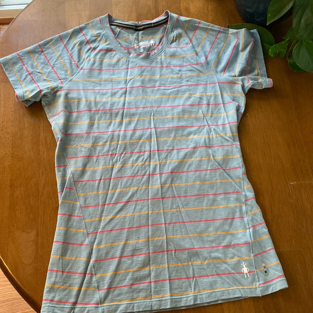 Smartwool 150 weight merino tee